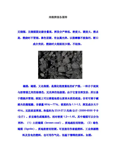 肉眼辨别各煤种
