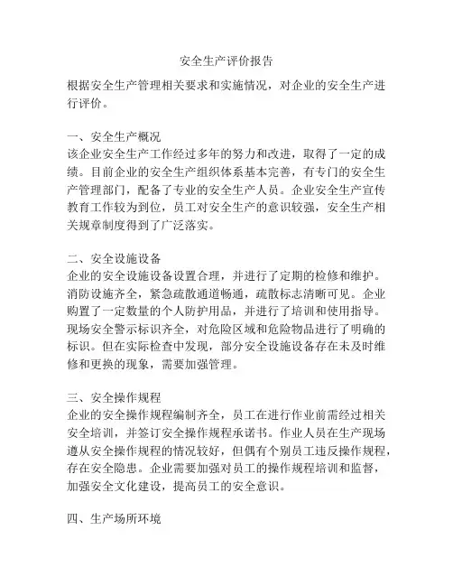 安全生产评价报告