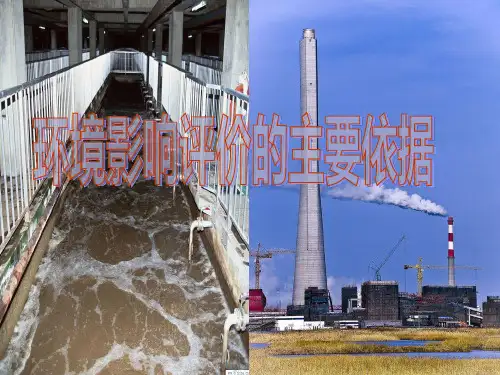 环境影响评价的主要依据