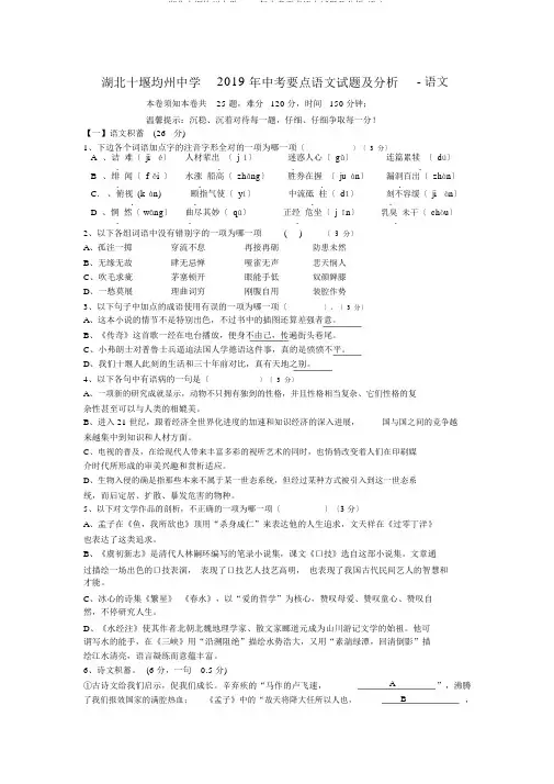 湖北十堰均州中学2019年中考重点语文试题及解析-语文
