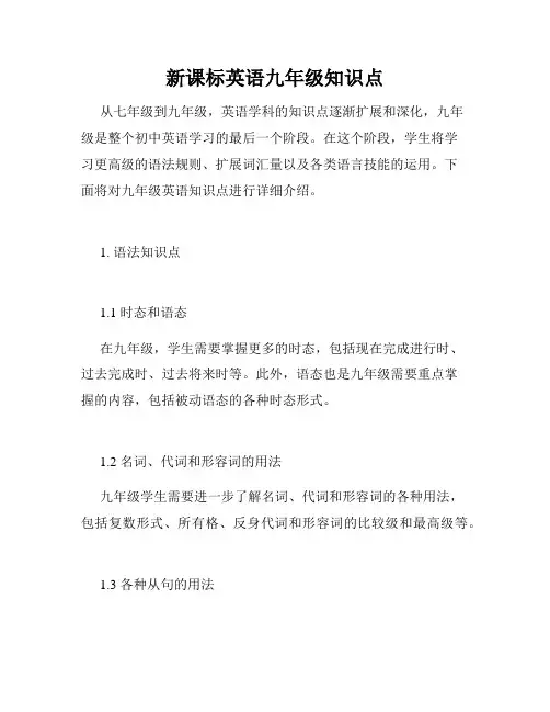 新课标英语九年级知识点