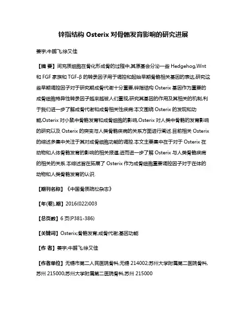 锌指结构Osterix对骨骼发育影响的研究进展