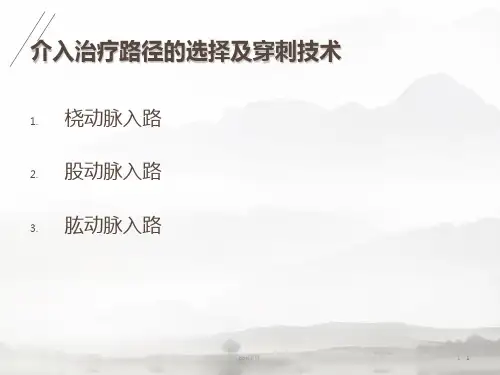 介入治疗入路与止血ppt课件