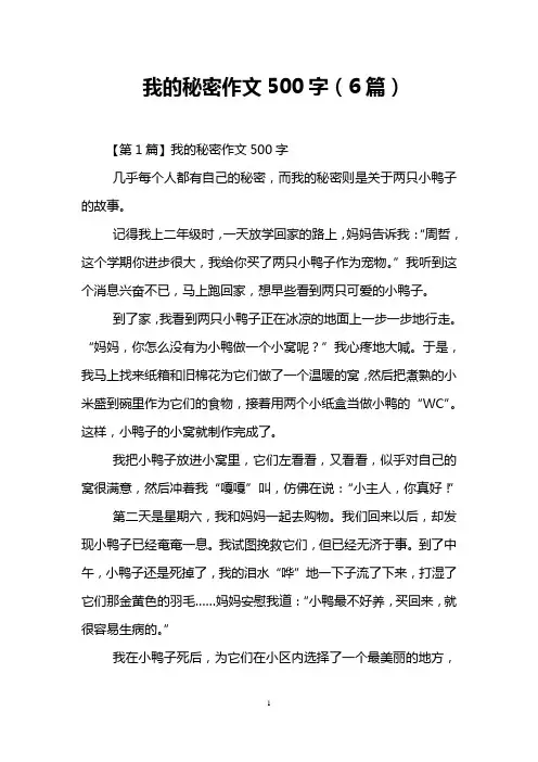 我的秘密作文500字(6篇)