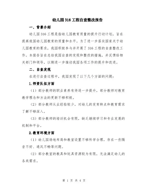 幼儿园316工程自查整改报告