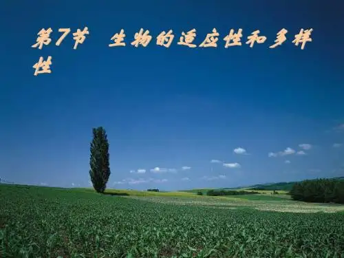 生物的适应性和多样性