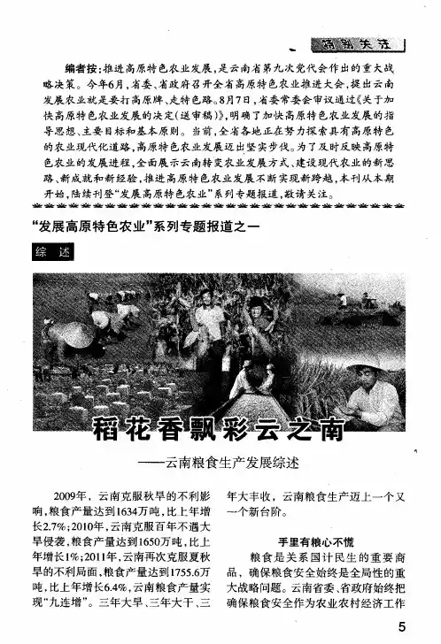 “发展高原特色农业”系列专题报道之一：稻花香飘彩云之南——云南粮食生产发展综述