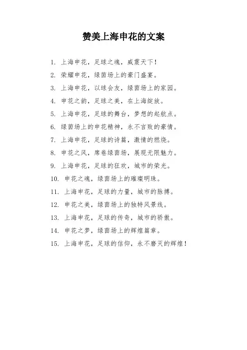赞美上海申花的文案