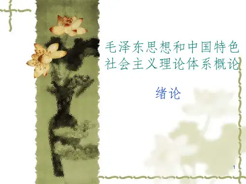 毛概绪论PPT课件