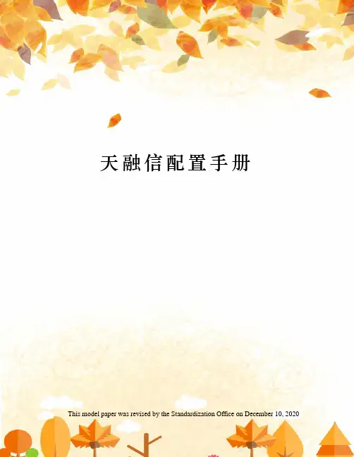 天融信配置手册