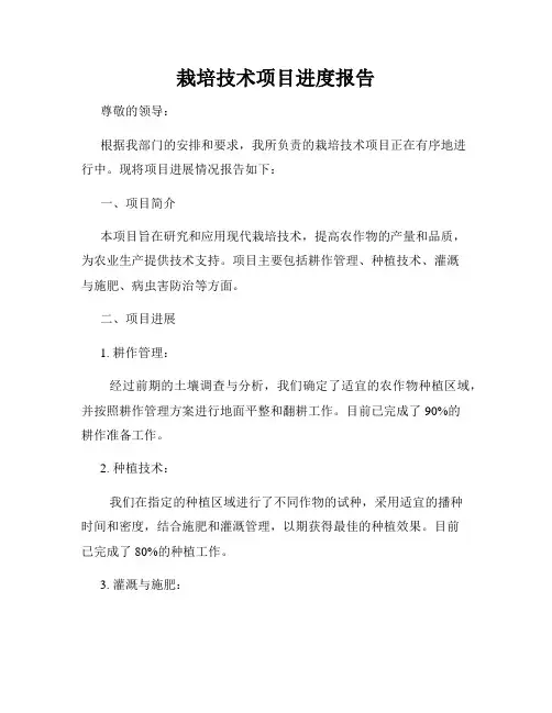 栽培技术项目进度报告