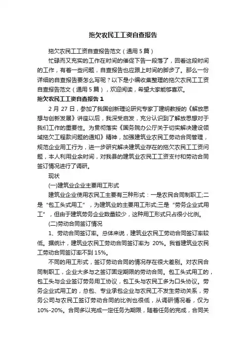 拖欠农民工工资自查报告
