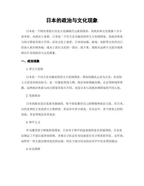 日本的政治与文化现象