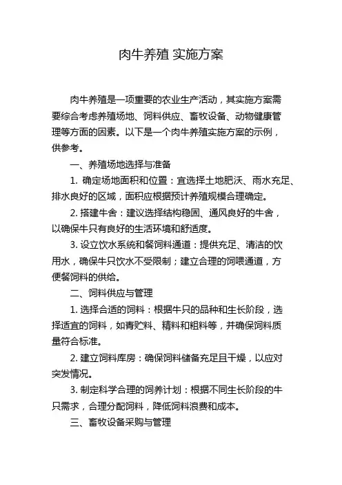 肉牛养殖 实施方案