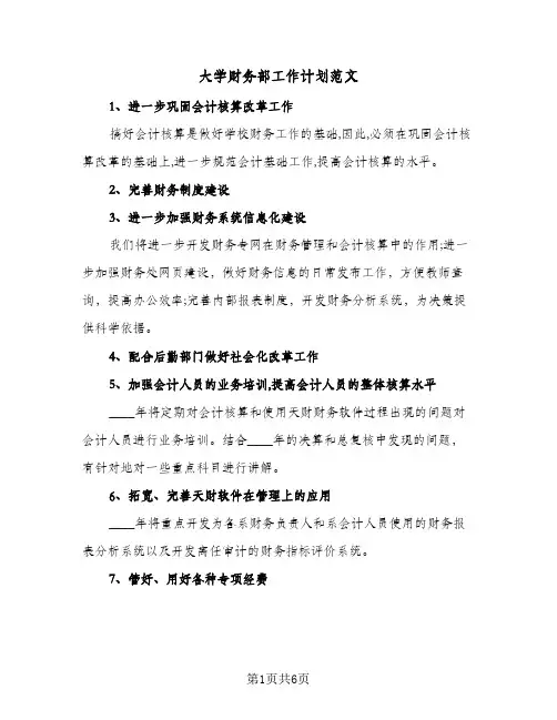 2024年大学财务部工作计划范文（4篇）