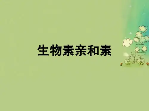 生物素亲和素