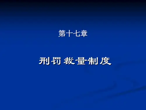 第17章 刑法学课件