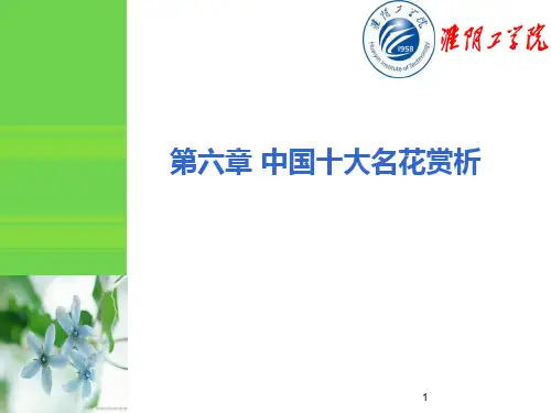 花卉欣赏与健康中国十大名花PPT课件