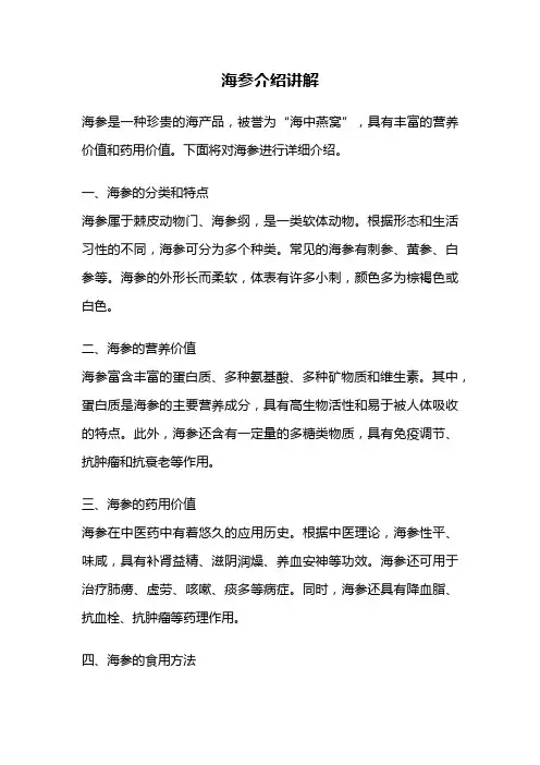 海参介绍讲解