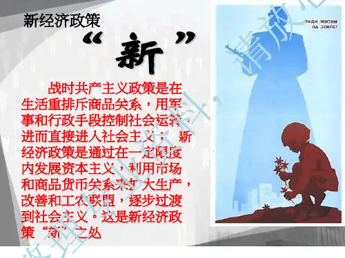 《新经济政策》