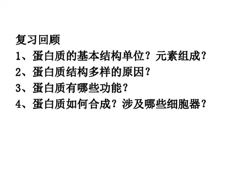 1.4蛋白质工程的崛起(52张PPT)