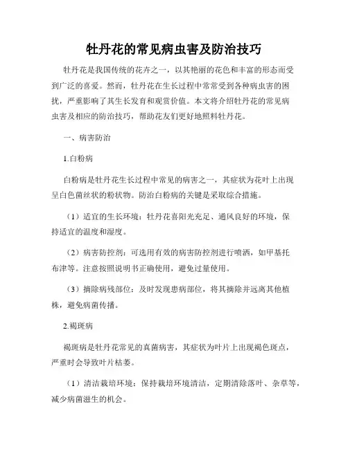 牡丹花的常见病虫害及防治技巧