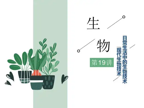 中考生物考点解读 日常生活中的生物技术    现代生物技术