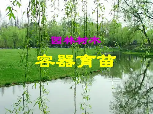 园林树木容器育苗