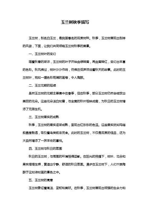 玉兰树秋季描写
