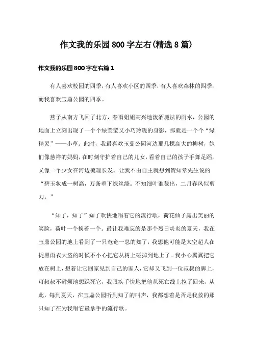 作文我的乐园800字左右(精选8篇)