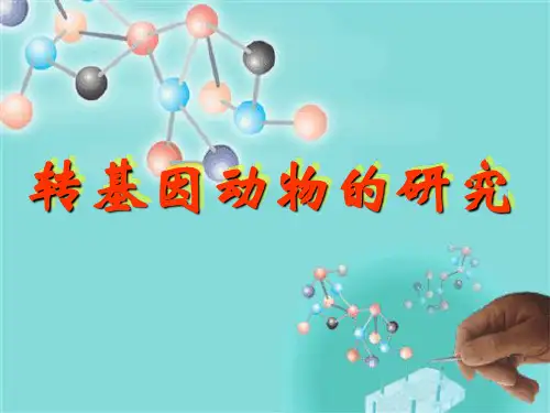 动物繁殖学课件4转基因与克隆2
