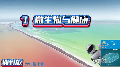 (2022)教科版科学六年级上册第一单元7微生物与健康PPT新版课件