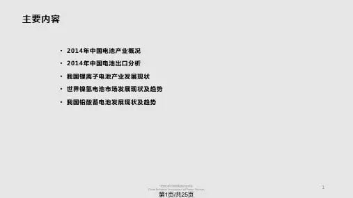 中国电池产业分析PPT课件