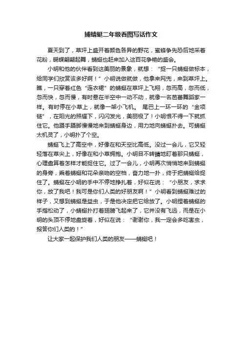捕蜻蜓二年级看图写话作文