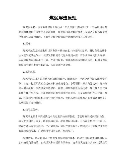 煤泥浮选原理