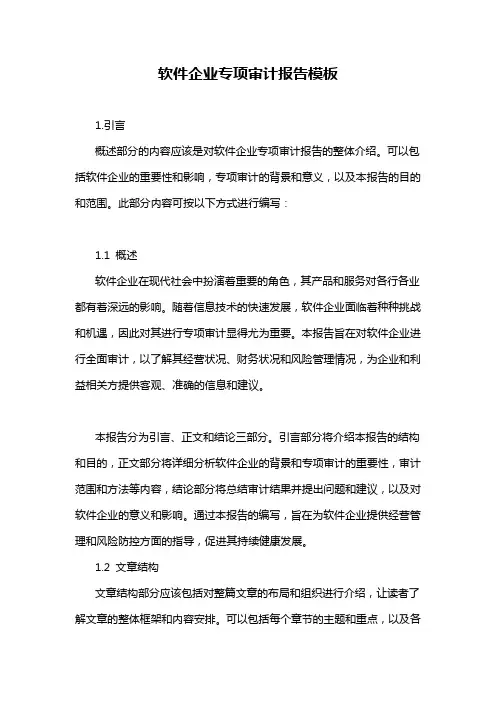 软件企业专项审计报告模板