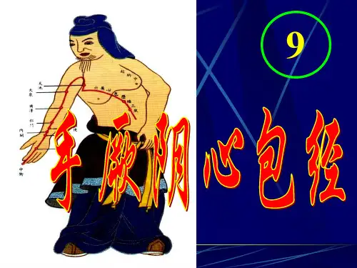 针灸学4、心包、三焦、胆经、肝经