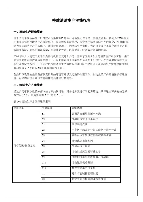 持续清洁生产审核报告
