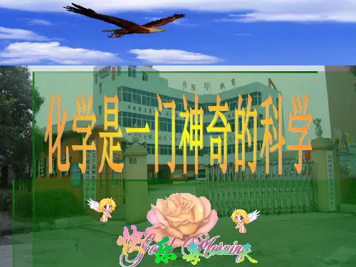 溶液的质量分数与溶解度