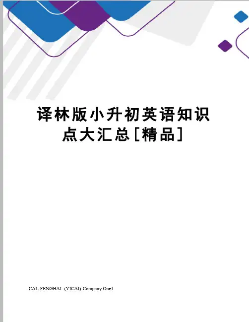 译林版小升初英语知识点大汇总[精品]