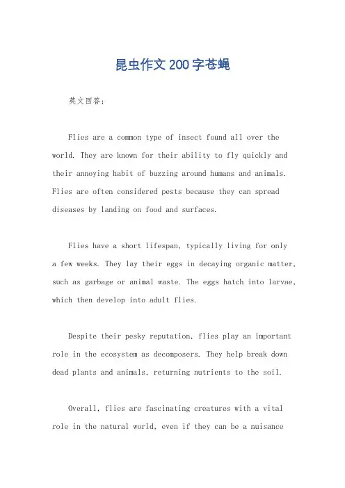 昆虫作文200字苍蝇