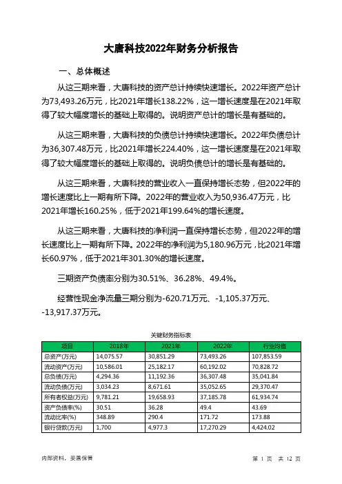 838593大唐科技2022年财务分析报告-银行版