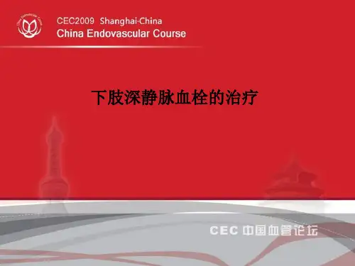 下肢深静脉血栓的治疗PPT课件
