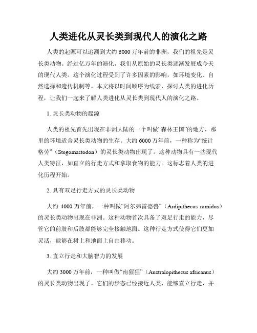 人类进化从灵长类到现代人的演化之路