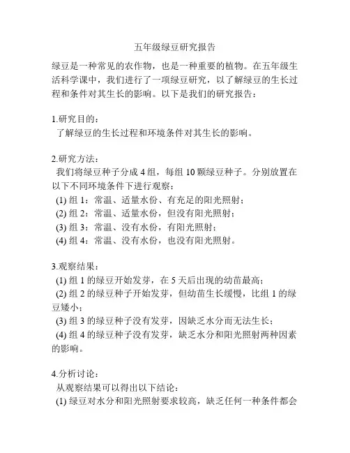 五年级绿豆研究报告