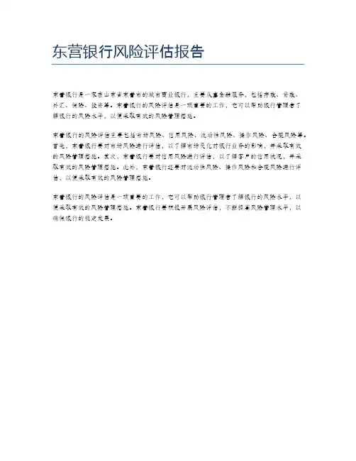 东营银行风险评估报告
