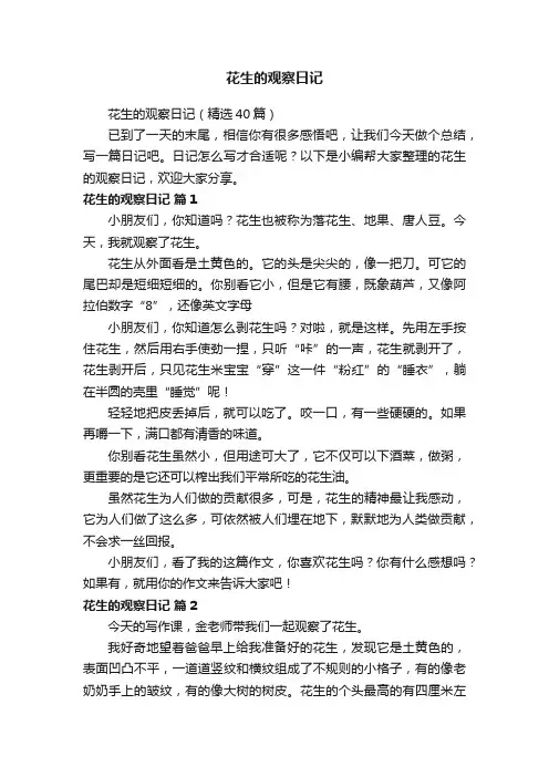 花生的观察日记（精选40篇）