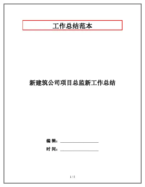 新建筑公司项目总监新工作总结