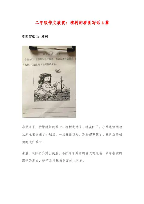 二年级作文欣赏：植树的看图写话4篇