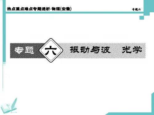 第6专题振动与波 光学